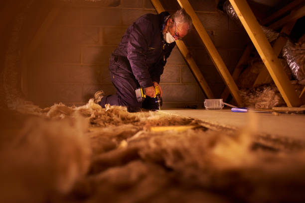 Best Cellulose Insulation  in USA